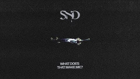 Sad Night Dynamite - What Does That Make Me? (Official Audio)
