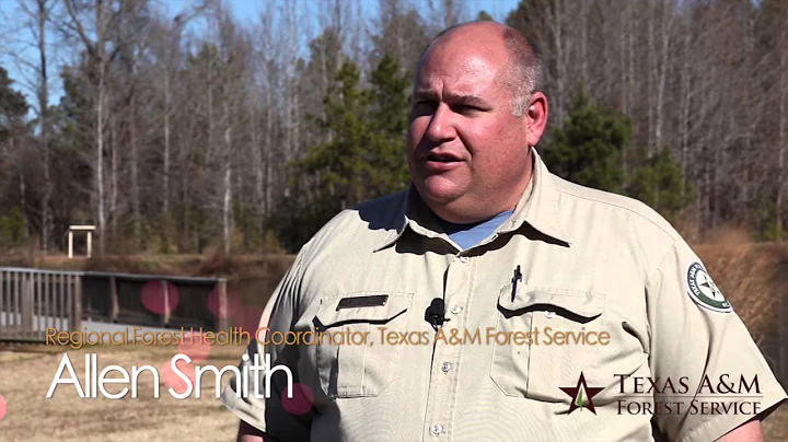 Working Dogs for Conservation