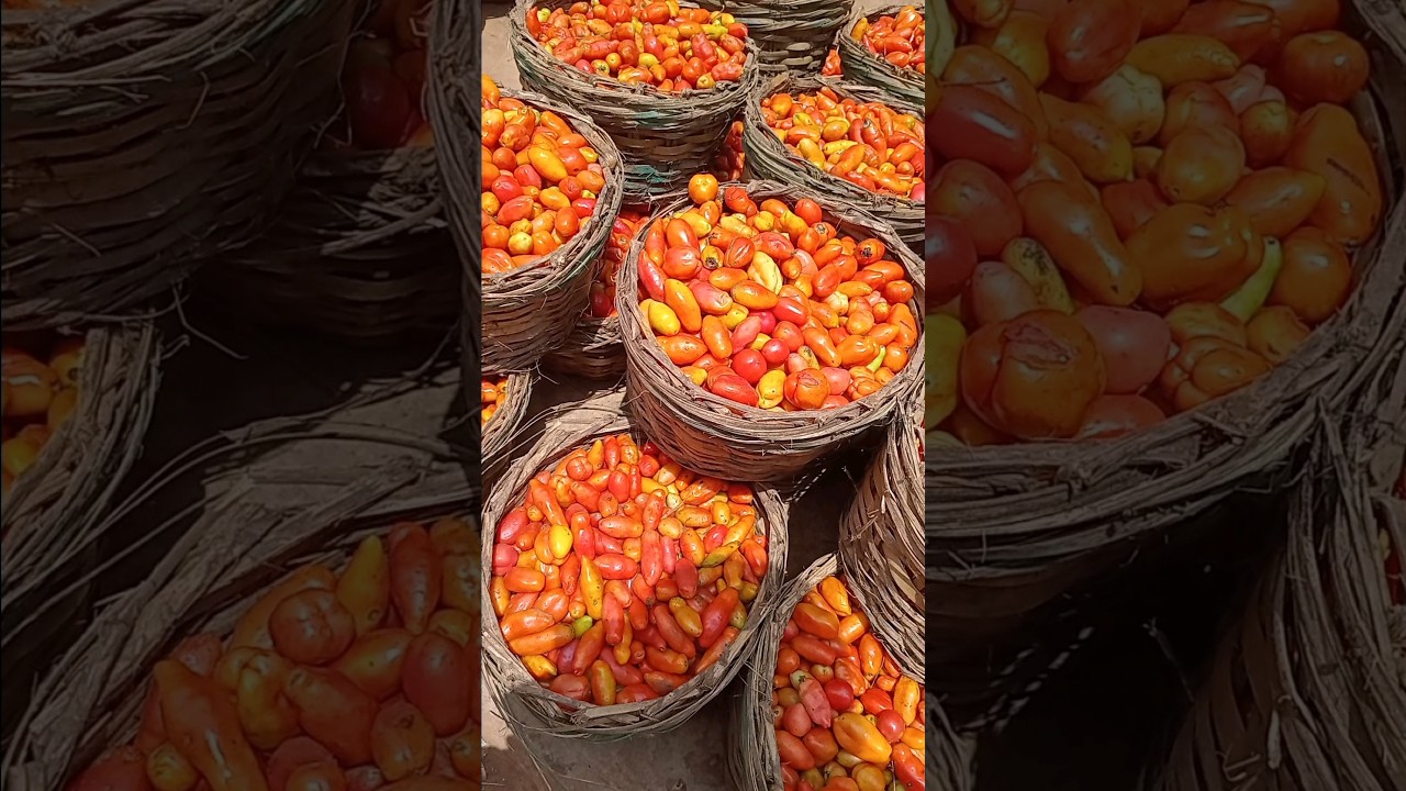 Tomatoes and Pepper Price in Nigeria 