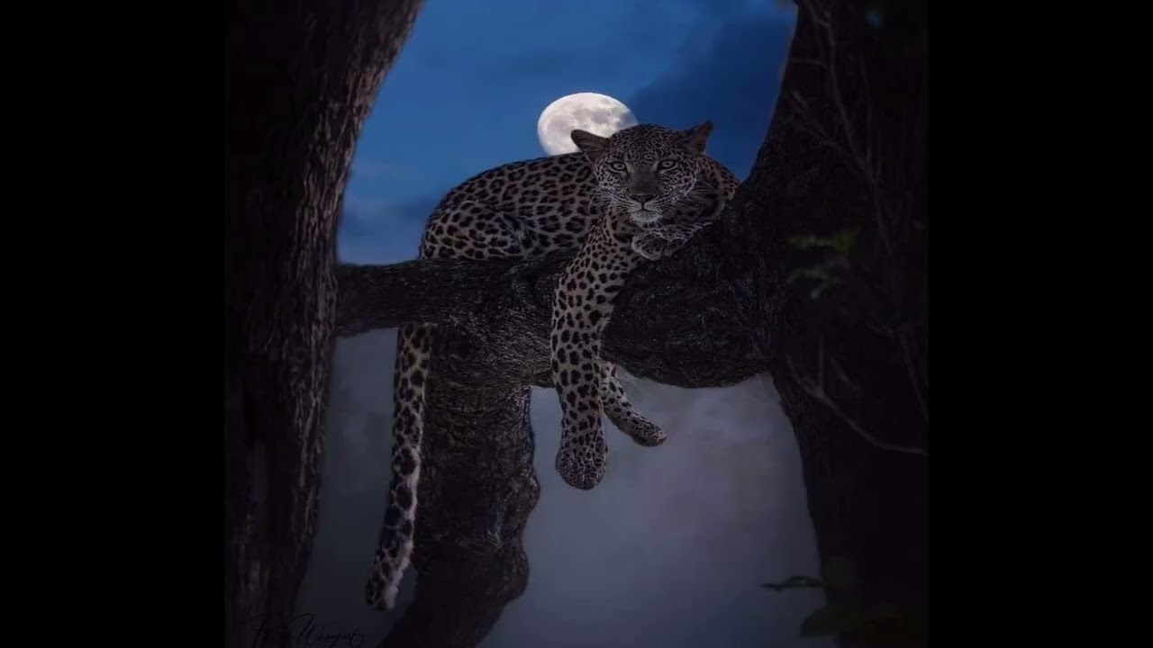 [FREE] Playboi Carti + 2026 Type Beat - "Clutch"