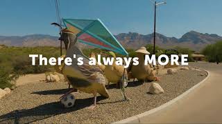 Wide Open Spaces - Oro Valley