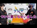 ツシマ、ついにストラトキャスター購入。