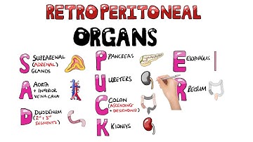 SAD PUCKER Retroperitoneal Organs Mnemonic | SAD PUCKER Mnemonic in 1 Minute (with pictures)