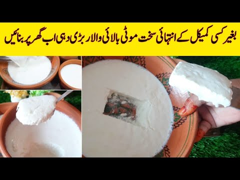 Rabri Dahi Recipe by Khala Bhanji Pakwan|yogurt Recipe|میٹھا اور سخت ...