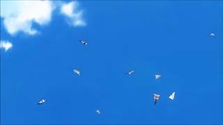 volthi - beyond the clouds