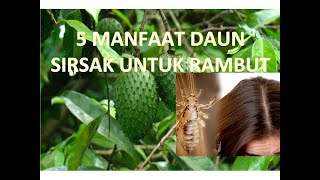 Jenis Herbal Untuk Kista? - dr. Zaidul Akbar Official