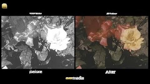 Revive Your Precious Memories to 1K, 2K, 4K and 8K with EverMedia!