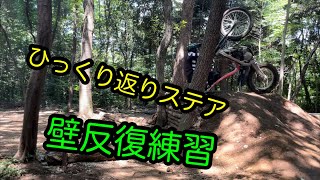 やると決めたらそれしかやらないスタイル♪