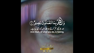 🌐وهو معكم أين ما كنتم✨ سورة الحديد:٤|شريف مصطفى|Surah Al Hadeed:4|Sherif Mostafa