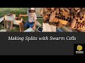 Splitting with swarm cells