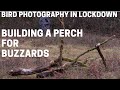 Lockdown Bird Photography Pt1 - Building a Perch for Buzzards