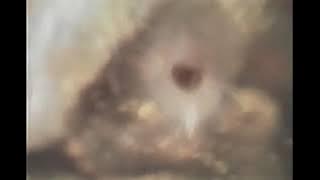 3801 Mall Road STE #120