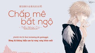 「Vietsub」Chấp Mê Bất Ngộ Remix - Tiểu Nhạc Ca | 执迷不悟 (DJ抖音版) - 小乐哥