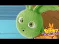 Sunny Bunnies – Avalancha de conejito | Dibujos animados para niños | WildBrain en Español