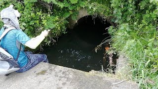 Hidden Tiny Tunnel Fishing Challenge !!
