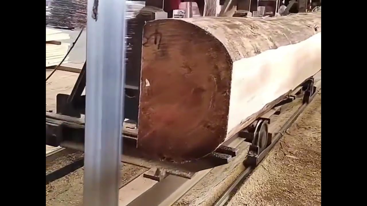 The Best Sawmill Cutting Big Logs