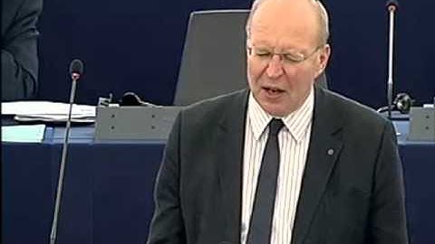 Andrew Duff on Implementation of the Common Security and Defence Policy