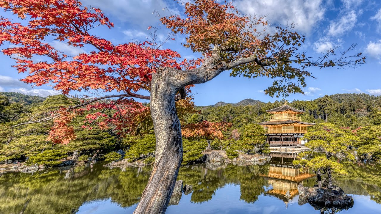 京都の楓 - Fall in Kyoto - YouTube