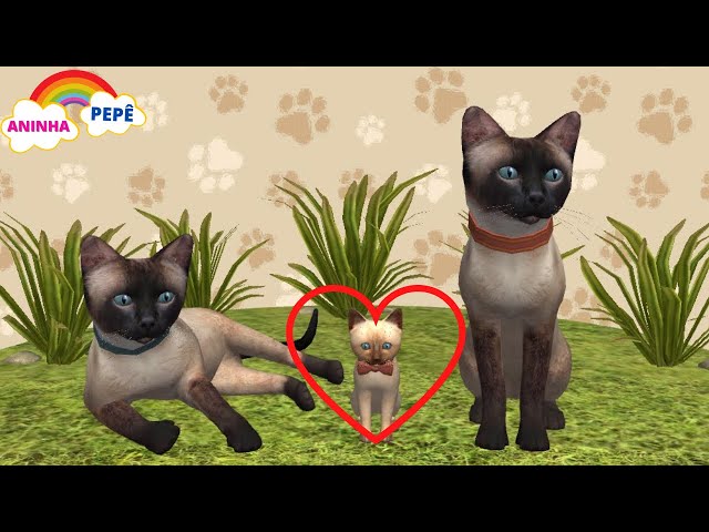 jogo Simulador de gato, cat simulator, joguinho do gato infantil pra  crianças, jogo do gato simulado 