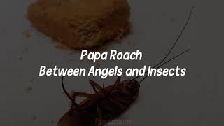 Papa Roach - Between Angels and Insects [sub español]