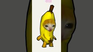 Apple Cat Banana Cat El Gato Movie Not