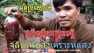 អត្ថប្រយោជន៍ជូលីនស៊ីសង្គ្រោះពន្លឺ,សម្រាប់បងប្អូនយកទៅចិញ្ចឹមត្រីឬក៏ដាំដំផ្លែឈើនិងដើមផ្កាជាដើម