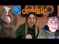 se picó OMEGLE