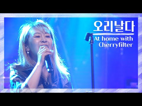 체리필터 - 오리날다 (Non-Contact Live, 2020.09.20) | At home with Cherryfilter
