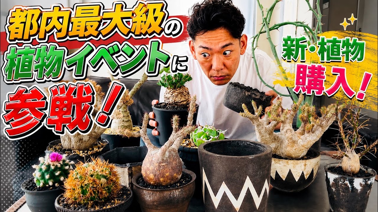 Caudex Plants] A Botanical Festival in Tokyo! Hazama Joins the