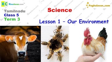 TN Samacheer -Class 5 (2021-22) - Term 3 - Science- Lesson 1 – Our Environment