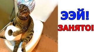 ЛЮТЫЕ КОТЫ которые ПЕРЕШЛИ ВСЕ ГРАНИЦЫ!