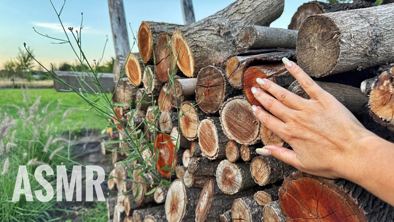 ASMR Triggers Outside 🌼 Tapping & Scratching with Relaxing Nature Sounds 😴