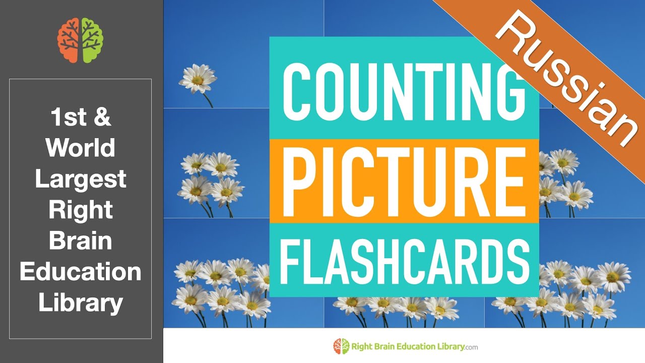 Counting 1 to 10 : Russian Flashcards | Right Brain Education Glenn Doman Shichida for Babies