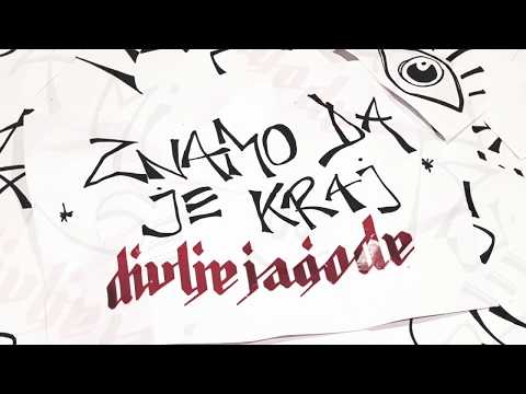 DIVLJE JAGODE - ZNAMO DA JE KRAJ (OFFICIAL SINGLE)