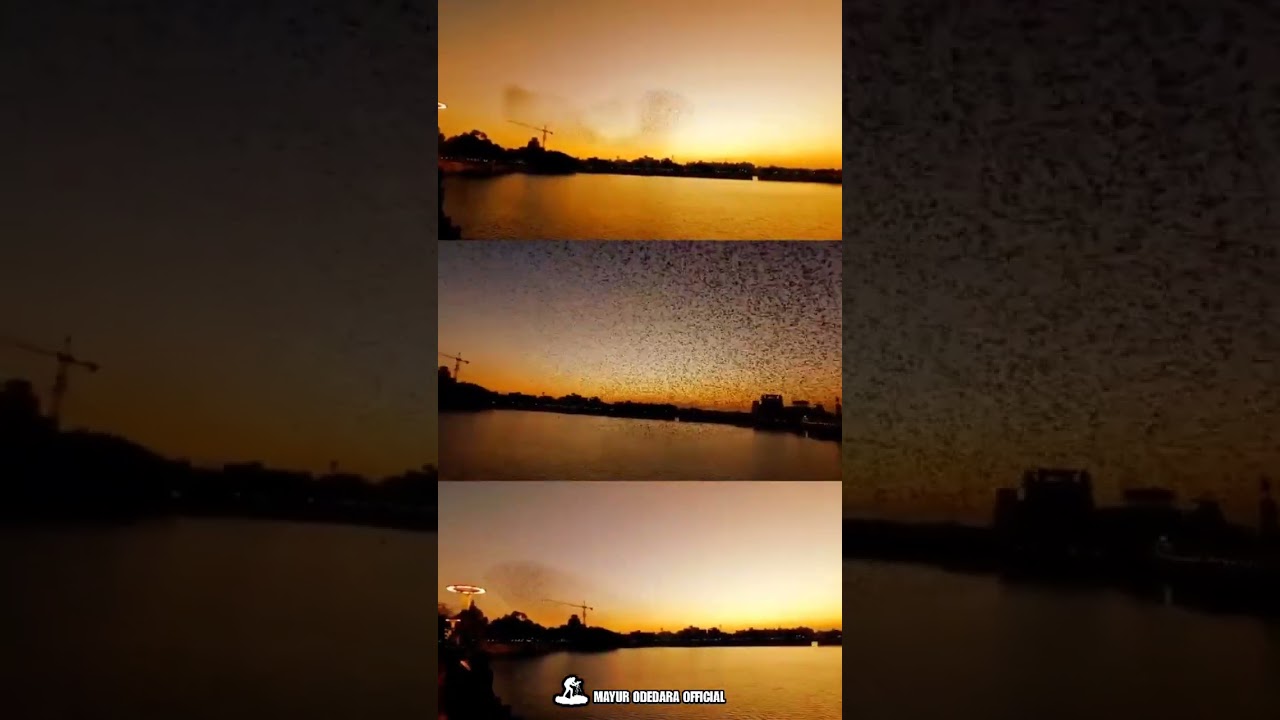 Lakhota Lake🏊, Sunset 🌄 & Voice of Birds🕊️🦅.