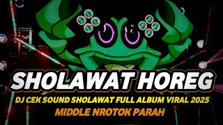 DJ SHOLAWAT FULL ALBUM VIRAL 2025 FULL BASS HOREG MIDDLE NROTOK PARAH