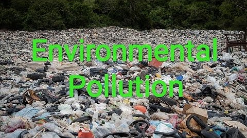 Social Science Class V Chapter 10 Environmental Pollution ( Part 1 )