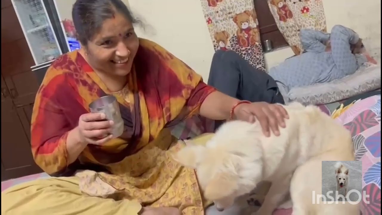 #Charry dog# Kaise Khel rahi hai mummy Bajar Se Aaye Charry dance#video#viral🧿🧿😆😆🐕🐕