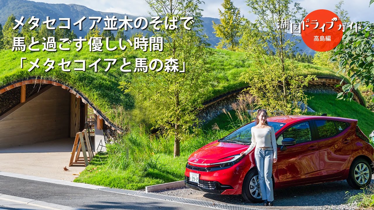 メタセコイア並木のそばで馬と過ごす優しい時間「メタセコイアと馬の森」