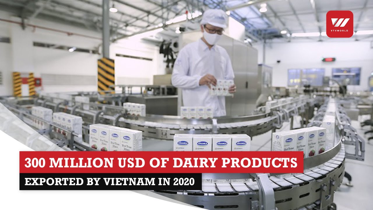 Vietnam exported 300 million USD of milk and dairy products in 2020