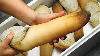Avrupalı Kadınlar Israrla Bunu İstiyor, Siz Sahip Olmak İstesenizde Şansınız Zor Avrupalı Kadınlar Israrla Bunu İstiyor, Siz Sahip Olmak İstesenizde Şansınız Zor