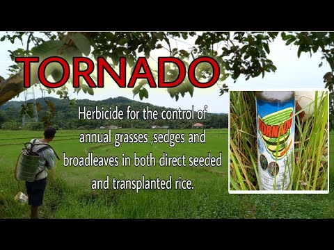 Video: Herbicide 