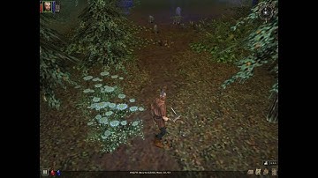 Dungeon Siege - gameplay - part 9 - hard difficulty - HD