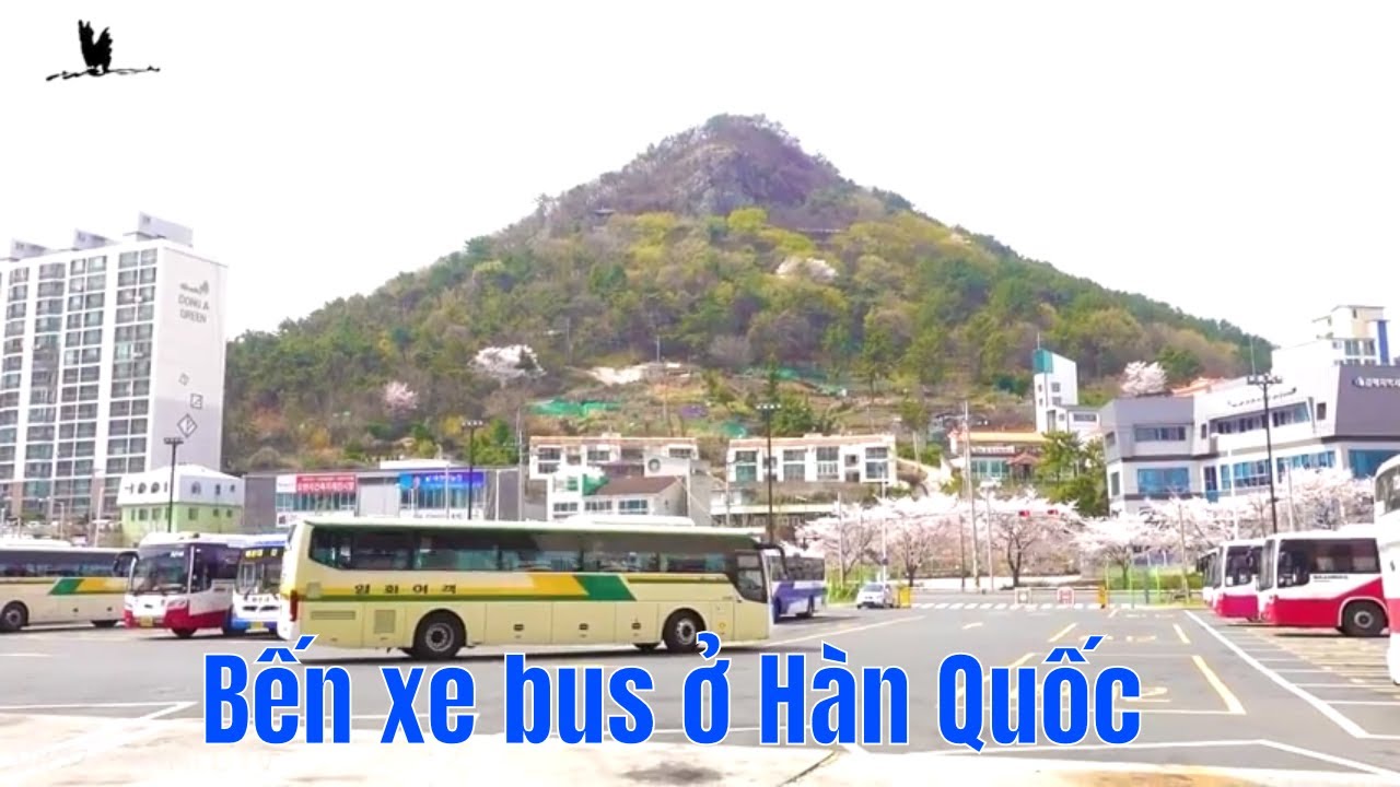 BẾN XE BUÝT KIMHE - Ở HÀN QUỐC