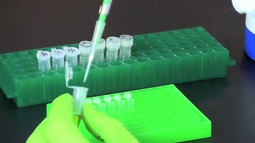 How To Extract DNA and Set Up PCR Reactions (Alu PV92 detection example using cheek cell DNA)
