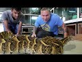 DEADLIEST SNAKES IN THE WORLD!!! NEW SNAKE UNBOXING! | BRIAN BARCZYK