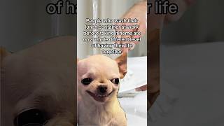 That level of organization scares me🫣🙈☠️#Meme #MemeCut #fyp #foryoupage #fypviralシ
