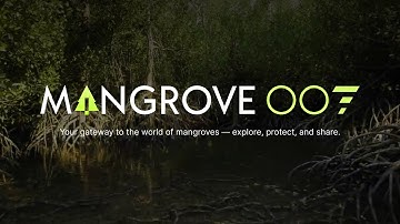 Mangrove007 | AI-Powered Global Platform for Mangroves