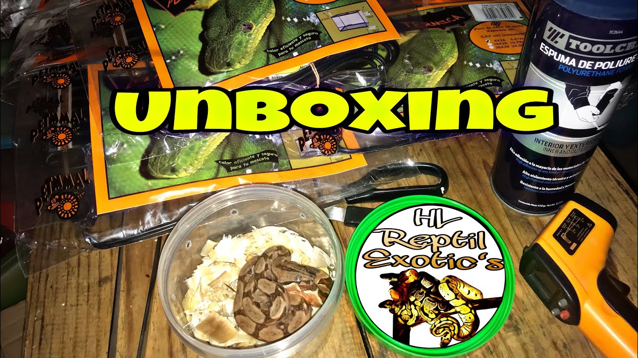 UNBOXING Boa Constrictor Hypo