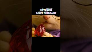 요즘 유행하는 유리 과일 ASMR, 저도 해봤어요.